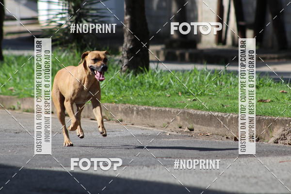 Buy your photos of the eventCORRIDA POR MAIS SADE on Fotop