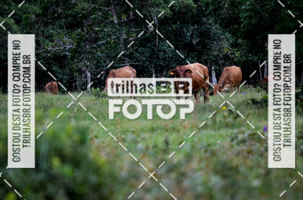 Buy your photos of the event3 MEIA MARATONA OUVERROSA on Fotop