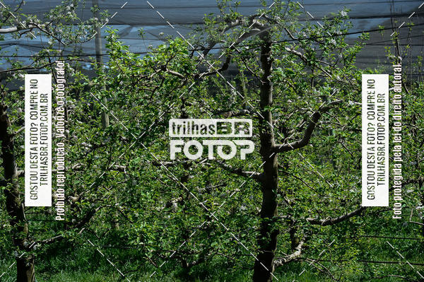 Buy your photos of the event4 MARATHON PEDAL DO FRIO on Fotop