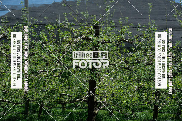 Buy your photos of the event4 MARATHON PEDAL DO FRIO on Fotop