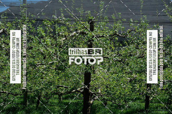 Buy your photos of the event4 MARATHON PEDAL DO FRIO on Fotop