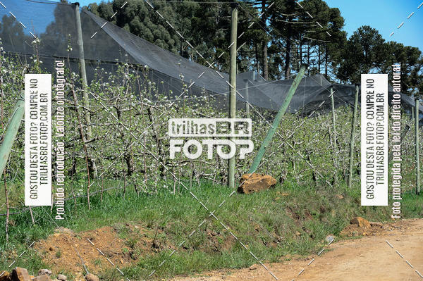 Buy your photos of the event4 MARATHON PEDAL DO FRIO on Fotop