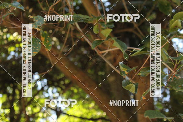 Buy your photos of the eventEstrada Parque Cabre�va Itu on Fotop