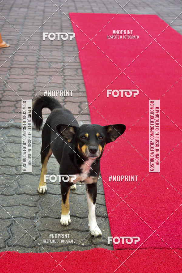 Buy your photos of the event7 Corrida Rstica Solidria on Fotop