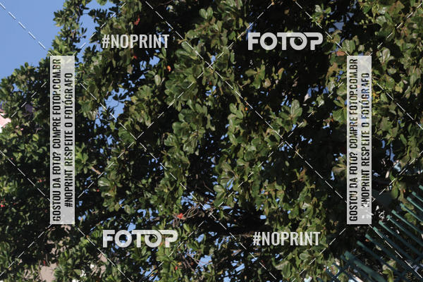 Achetez vos photos de l'vnementSANTANDER TRACK&FIELD RUN SERIES Shopping Recife sur Fotop