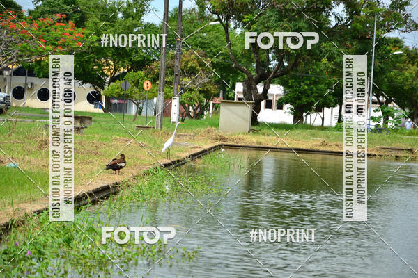 Buy your photos of the eventV CICORRE - Campus UFPE - Recife on Fotop