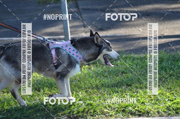 Buy your photos of the eventCircuito das Estaes DF - Outono on Fotop