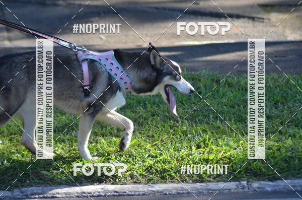 Buy your photos of the eventCircuito das Estaes DF - Outono on Fotop