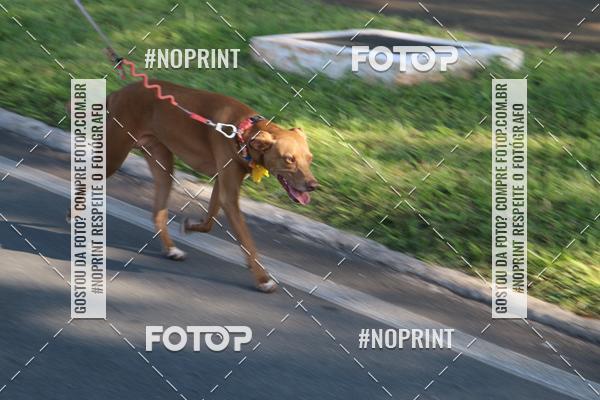 Buy your photos of the eventCircuito das Estaes DF - Outono on Fotop