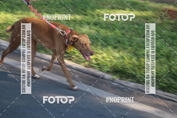 Buy your photos of the eventCircuito das Estaes DF - Outono on Fotop