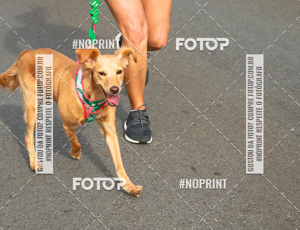 Buy your photos of the eventCircuito das Estaes Braslia - Vero on Fotop