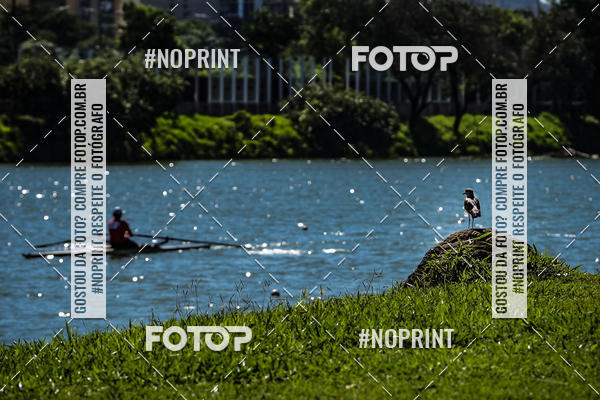 Acquista le foto dell'eventoRegata 4k 2019 in Fotop