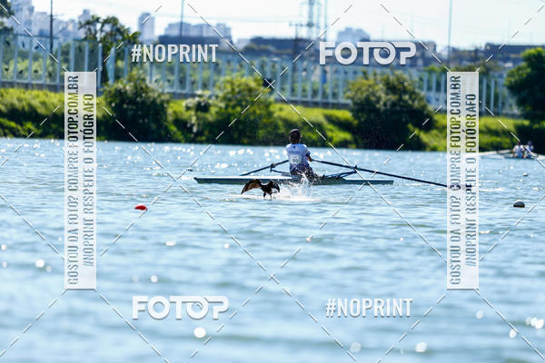 Acquista le foto dell'eventoRegata 4k 2019 in Fotop