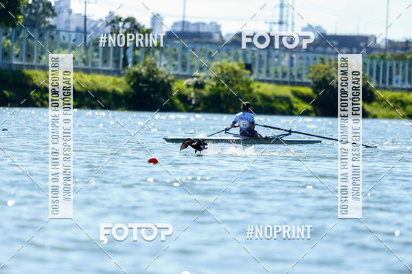 Acquista le foto dell'eventoRegata 4k 2019 in Fotop