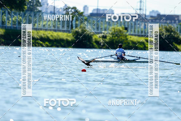 Acquista le foto dell'eventoRegata 4k 2019 in Fotop