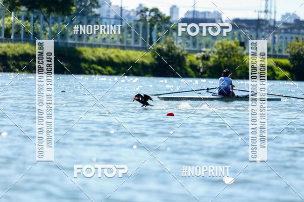 Acquista le foto dell'eventoRegata 4k 2019 in Fotop