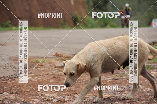 Buy your photos of the eventCOPA 4 FOR RIDE SPORTS on Fotop