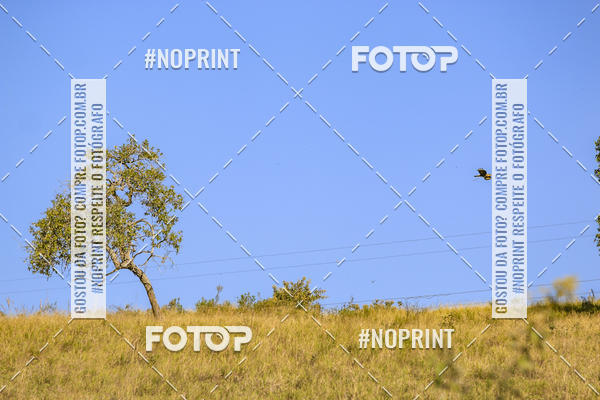 Buy your photos of the eventBrasil Ride Trail Run Botucatu 3 Etapa 2019 on Fotop