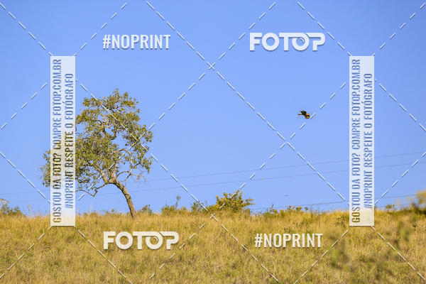 Buy your photos of the eventBrasil Ride Trail Run Botucatu 3 Etapa 2019 on Fotop