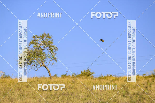 Buy your photos of the eventBrasil Ride Trail Run Botucatu 3 Etapa 2019 on Fotop