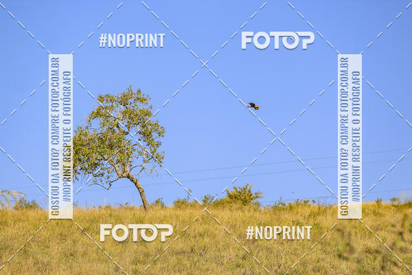 Buy your photos of the eventBrasil Ride Trail Run Botucatu 3 Etapa 2019 on Fotop