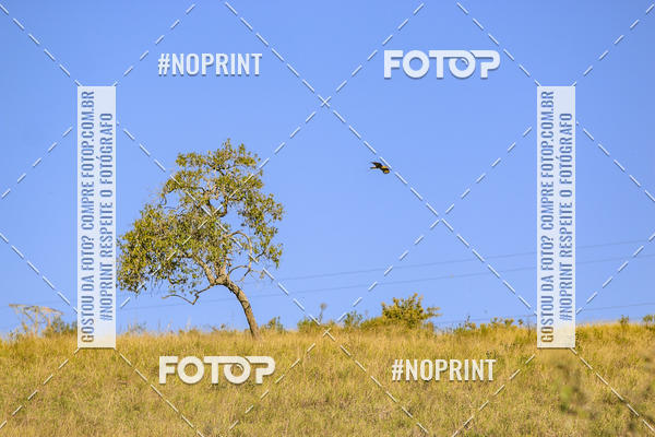 Buy your photos of the eventBrasil Ride Trail Run Botucatu 3 Etapa 2019 on Fotop