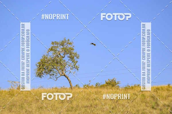 Buy your photos of the eventBrasil Ride Trail Run Botucatu 3 Etapa 2019 on Fotop