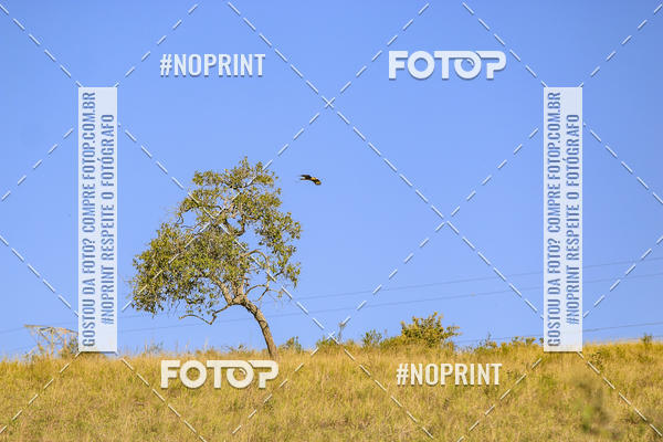 Buy your photos of the eventBrasil Ride Trail Run Botucatu 3 Etapa 2019 on Fotop