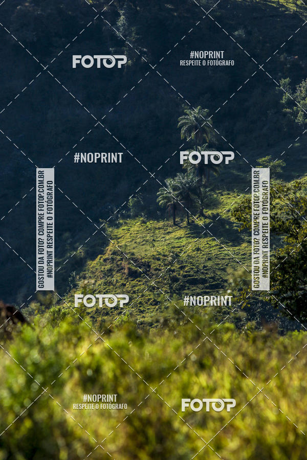 Buy your photos of the eventBrasil Ride Trail Run Botucatu 3 Etapa 2019 on Fotop