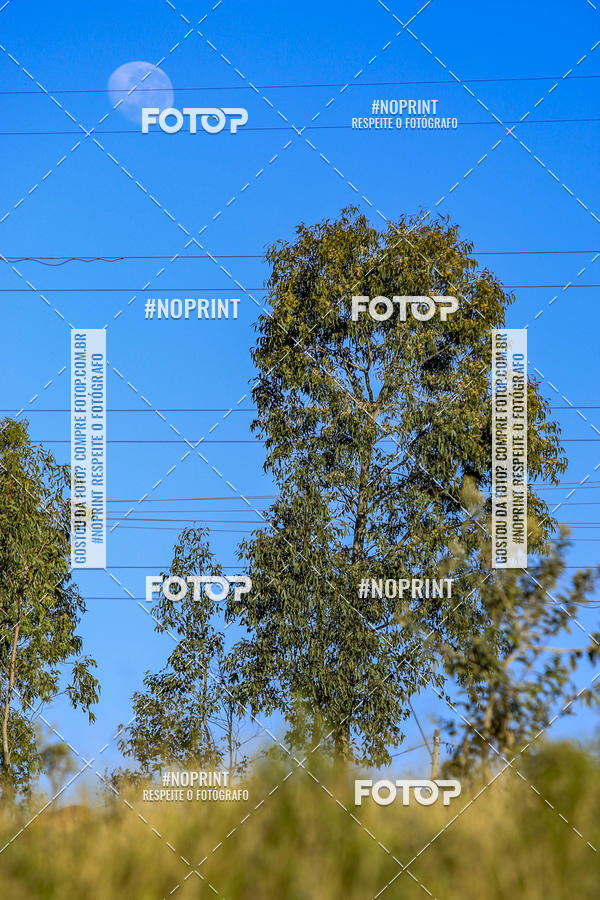 Buy your photos of the eventBrasil Ride Trail Run Botucatu 3 Etapa 2019 on Fotop