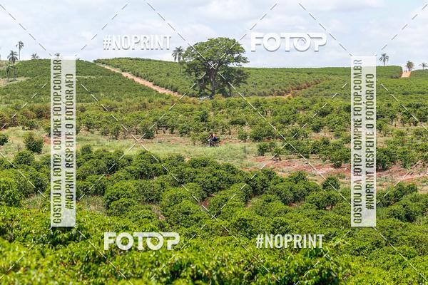 Compre suas fotos do eventoBig Biker - Super Edition Alfenas MG no Fotop