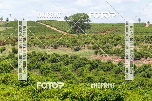 Compre suas fotos do eventoBig Biker - Super Edition Alfenas MG no Fotop