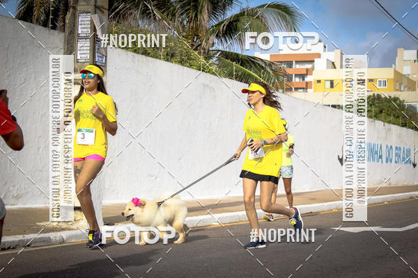 Buy your photos of the eventSummer Run 2019 on Fotop