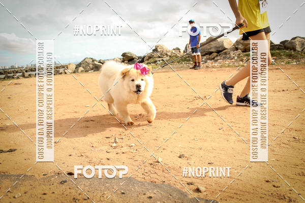 Buy your photos of the eventSummer Run 2019 on Fotop