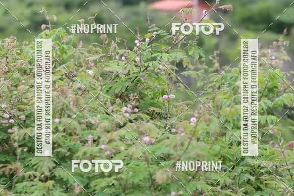 Buy your photos of the eventXTRAIL BIKE RUN on Fotop