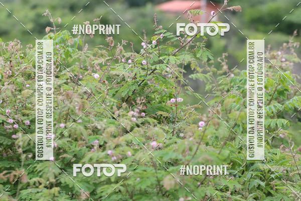 Buy your photos of the eventXTRAIL BIKE RUN on Fotop