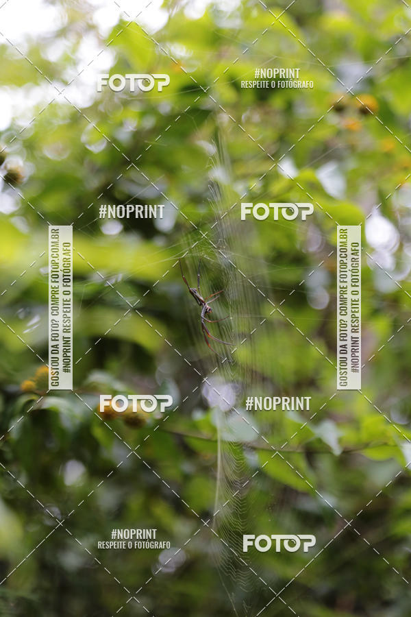 Buy your photos of the eventXTRAIL BIKE RUN on Fotop