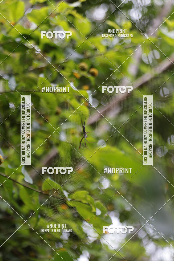 Buy your photos of the eventXTRAIL BIKE RUN on Fotop