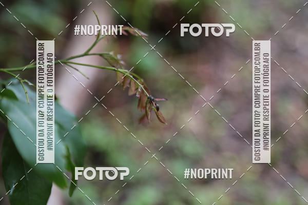 Buy your photos of the eventXTRAIL BIKE RUN on Fotop