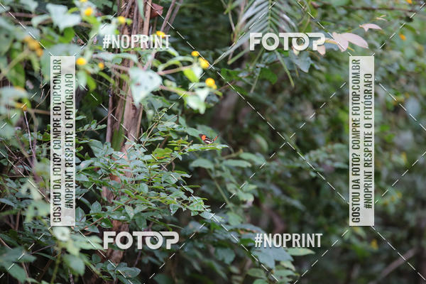 Buy your photos of the eventXTRAIL BIKE RUN on Fotop