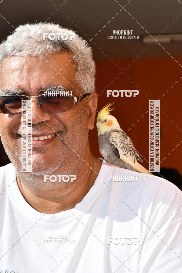 Buy your photos of the eventFestival Quero Nadar  de Pernadas on Fotop