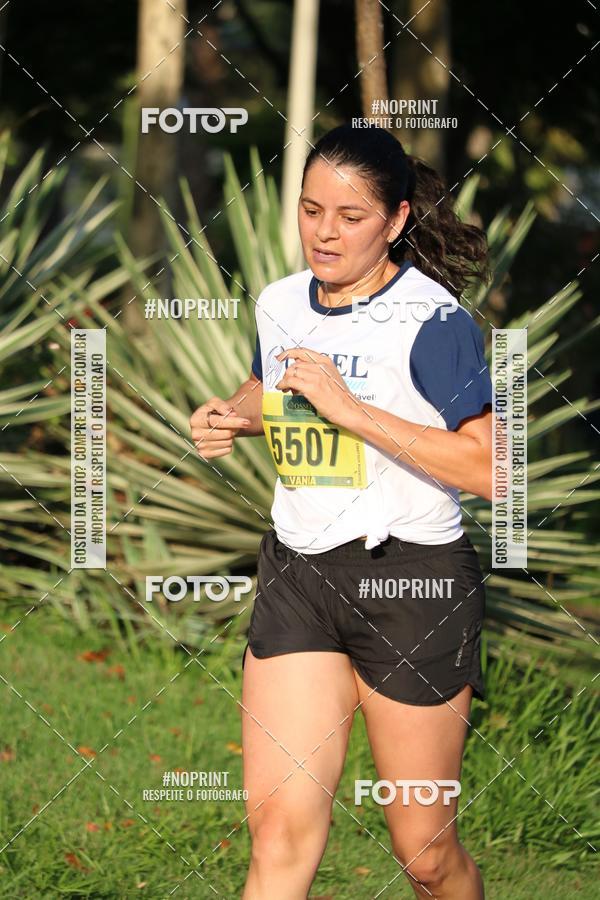 Buy your photos of the event2 Ossel Run 2019 on Fotop