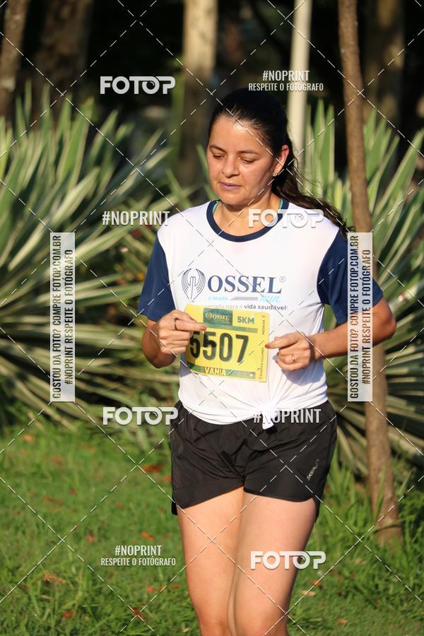 Buy your photos of the event2 Ossel Run 2019 on Fotop