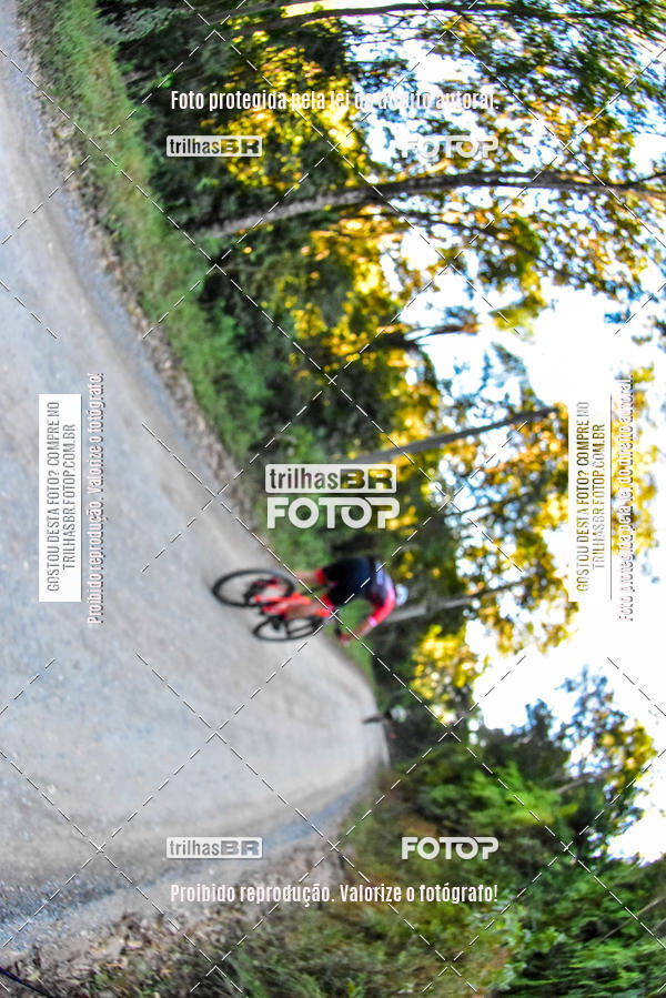 Buy your photos of the eventVolta do Pinheral on Fotop