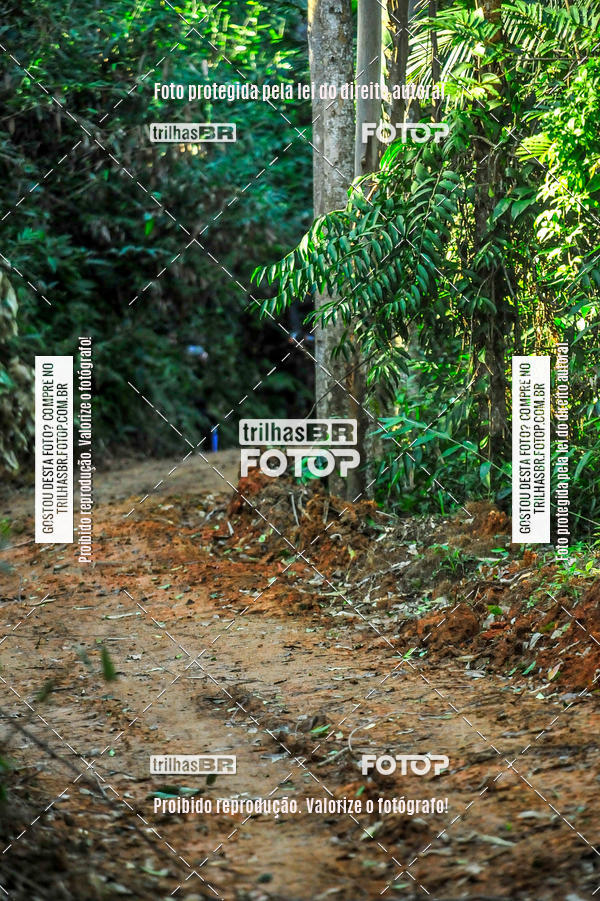 Buy your photos of the eventVolta do Pinheral on Fotop