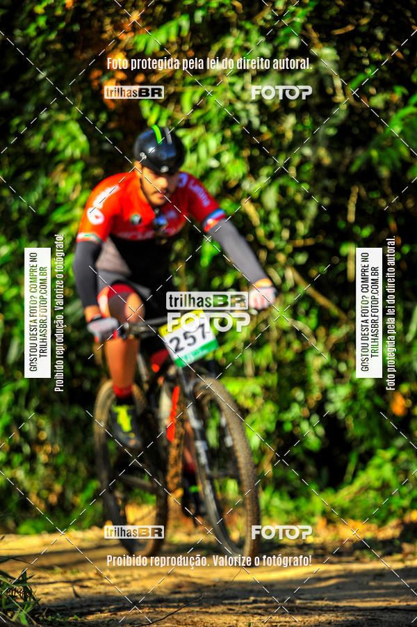 Buy your photos of the eventVolta do Pinheral on Fotop