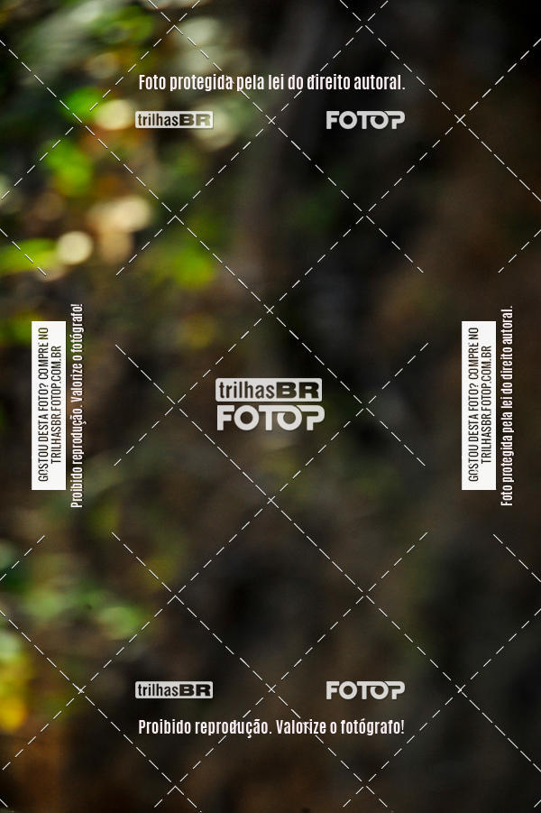 Buy your photos of the eventVolta do Pinheral on Fotop