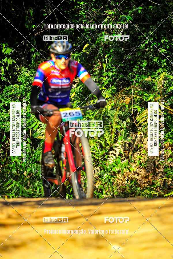 Buy your photos of the eventVolta do Pinheral on Fotop