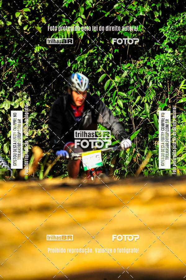 Buy your photos of the eventVolta do Pinheral on Fotop