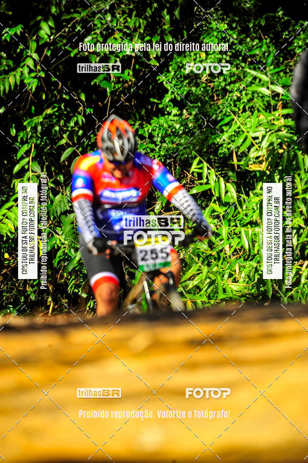 Buy your photos of the eventVolta do Pinheral on Fotop